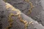 Dlhý strieborno zlatý koberec Mramor - LONG